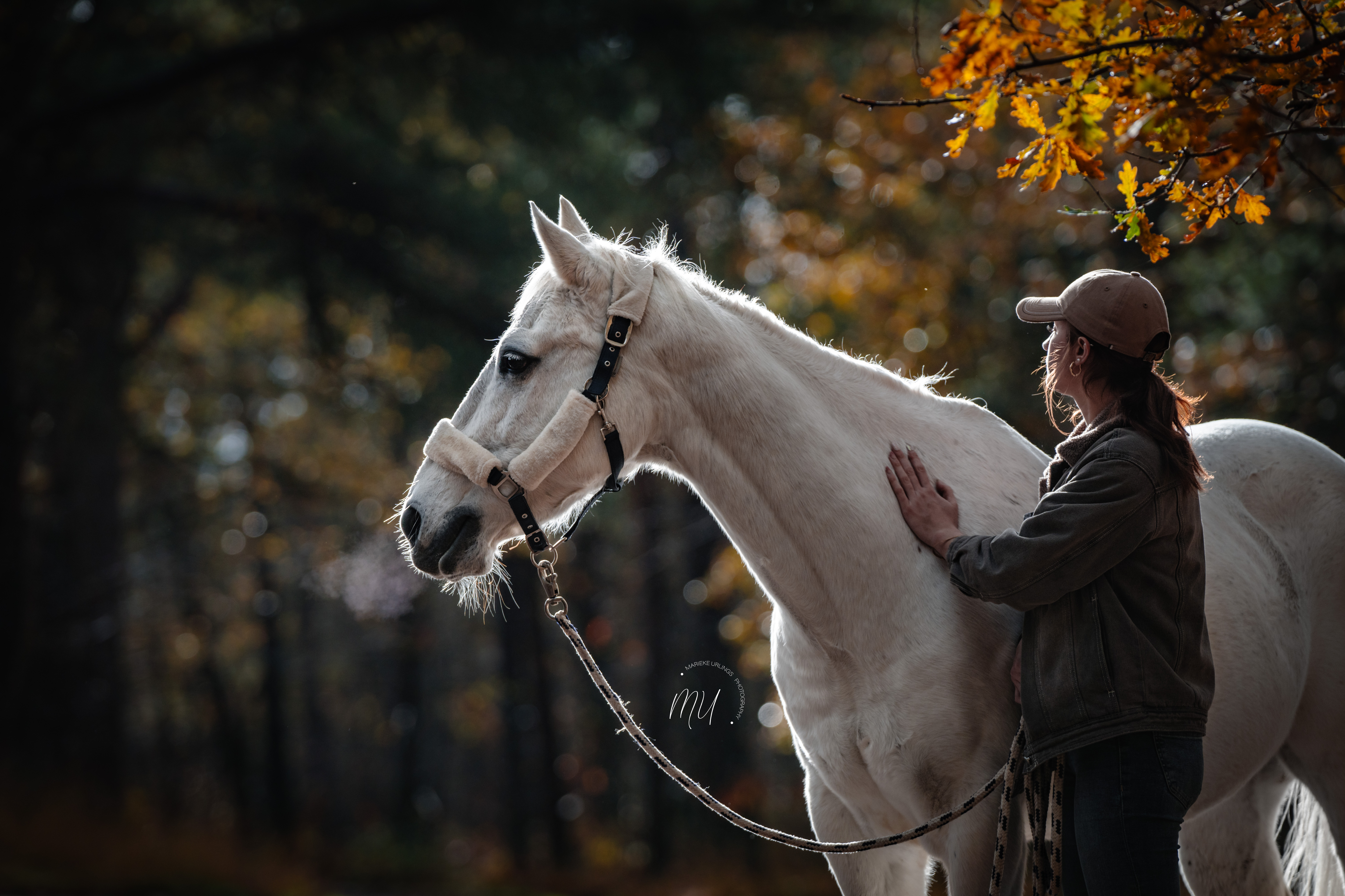 PaardenFotografen NL - MU Photography - PFNL expo HE 2