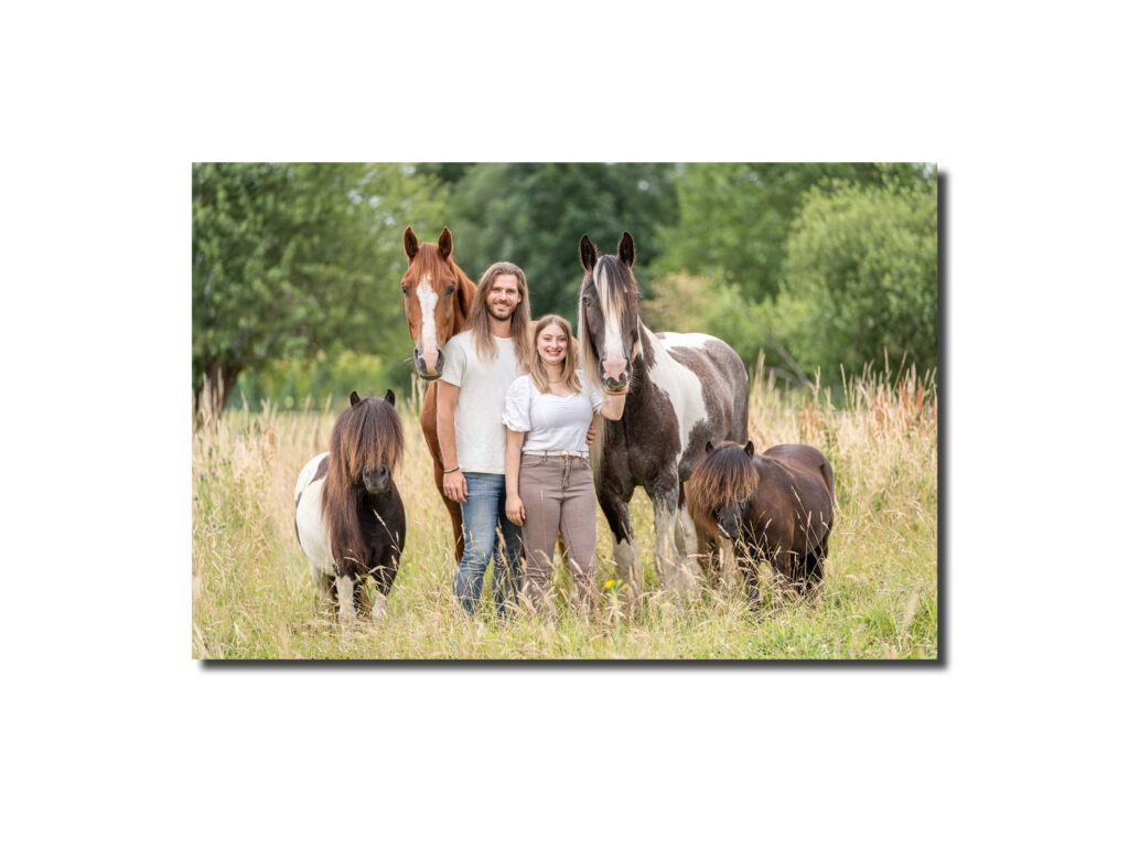 DaKo Fotografie - Paardenfotografie Goud