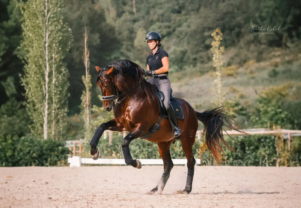 PaardenFotografen NL - Birthe Kulik Fotografie