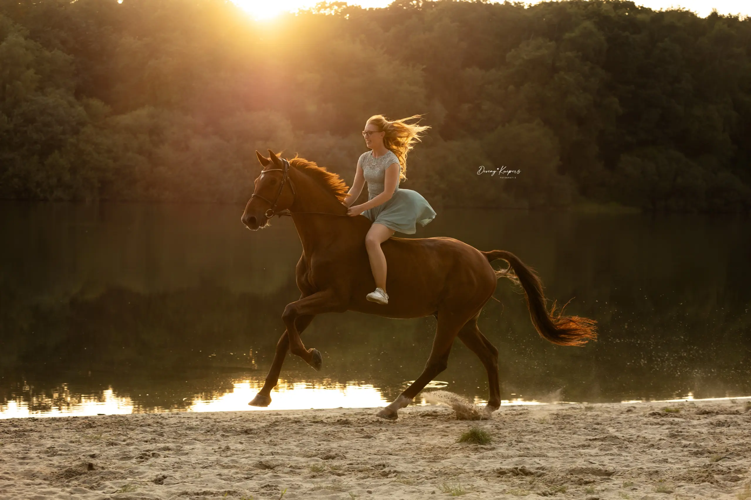 PaardenFotografen NL - Deveny Kuipers Fotografie