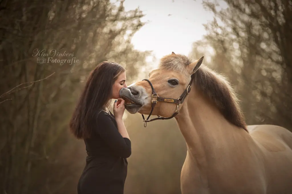 PaardenFotografen NL - Kim Vinkers Fotografie