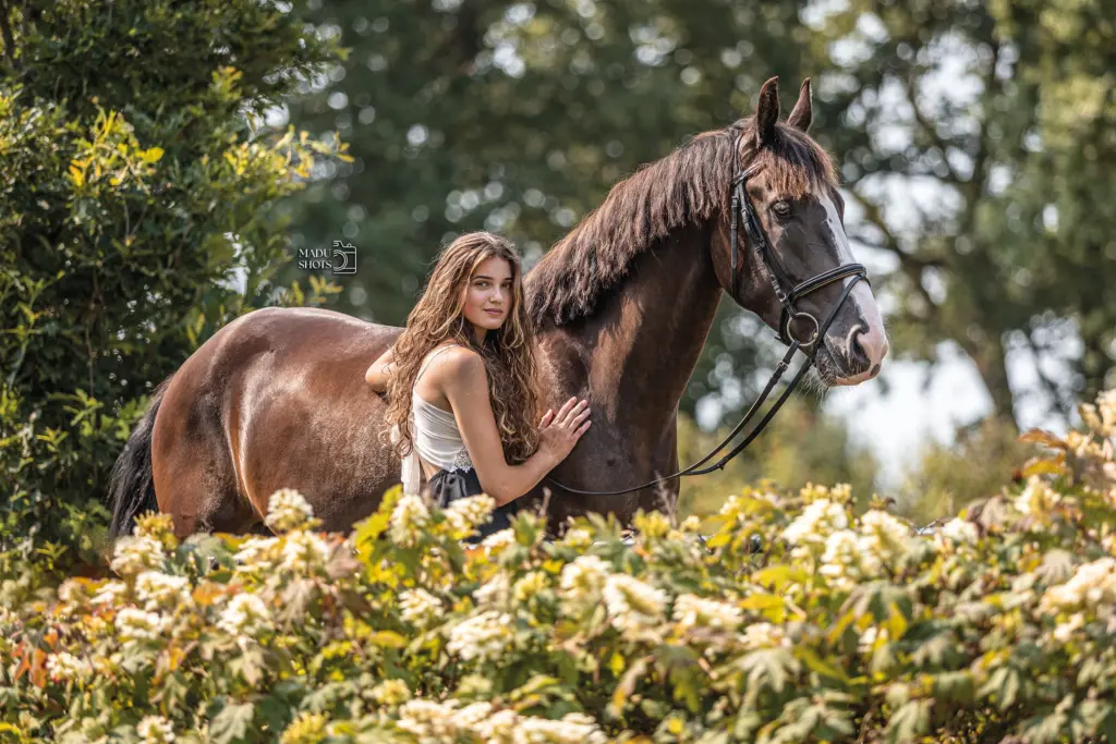 PaardenFotografen NL - MaduShots