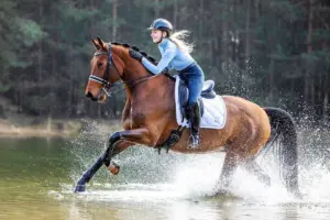 PaardenFotografen NL - Paard en Picture