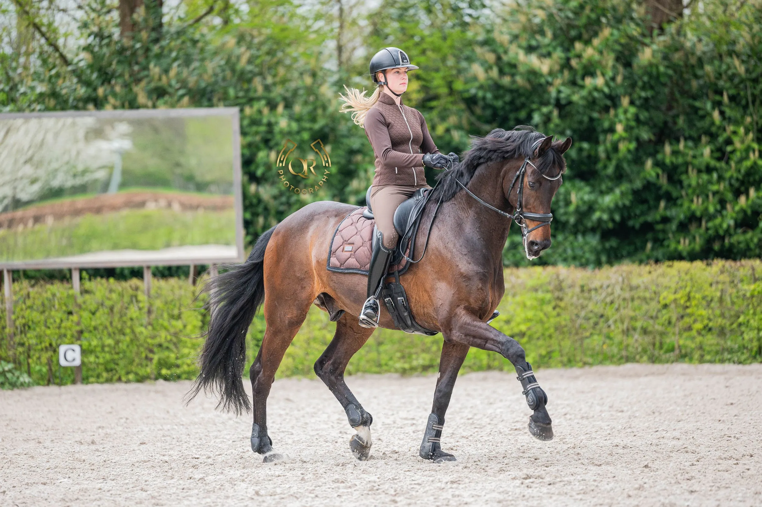 PaardenFotografen NL - QR Photography