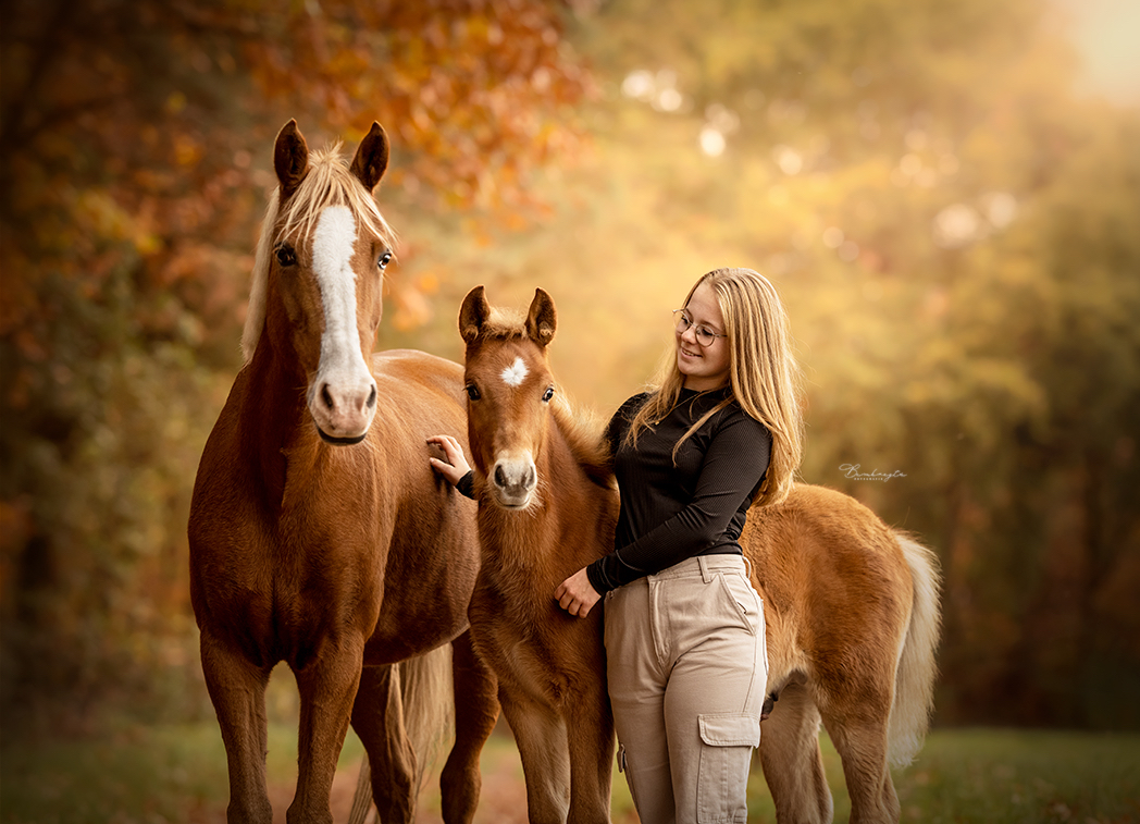 PaardenFotografen NL - Bembregts Fotografie