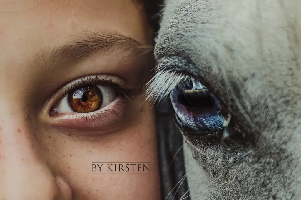 PaardenFotografen NL - By Kirsten Fotografie