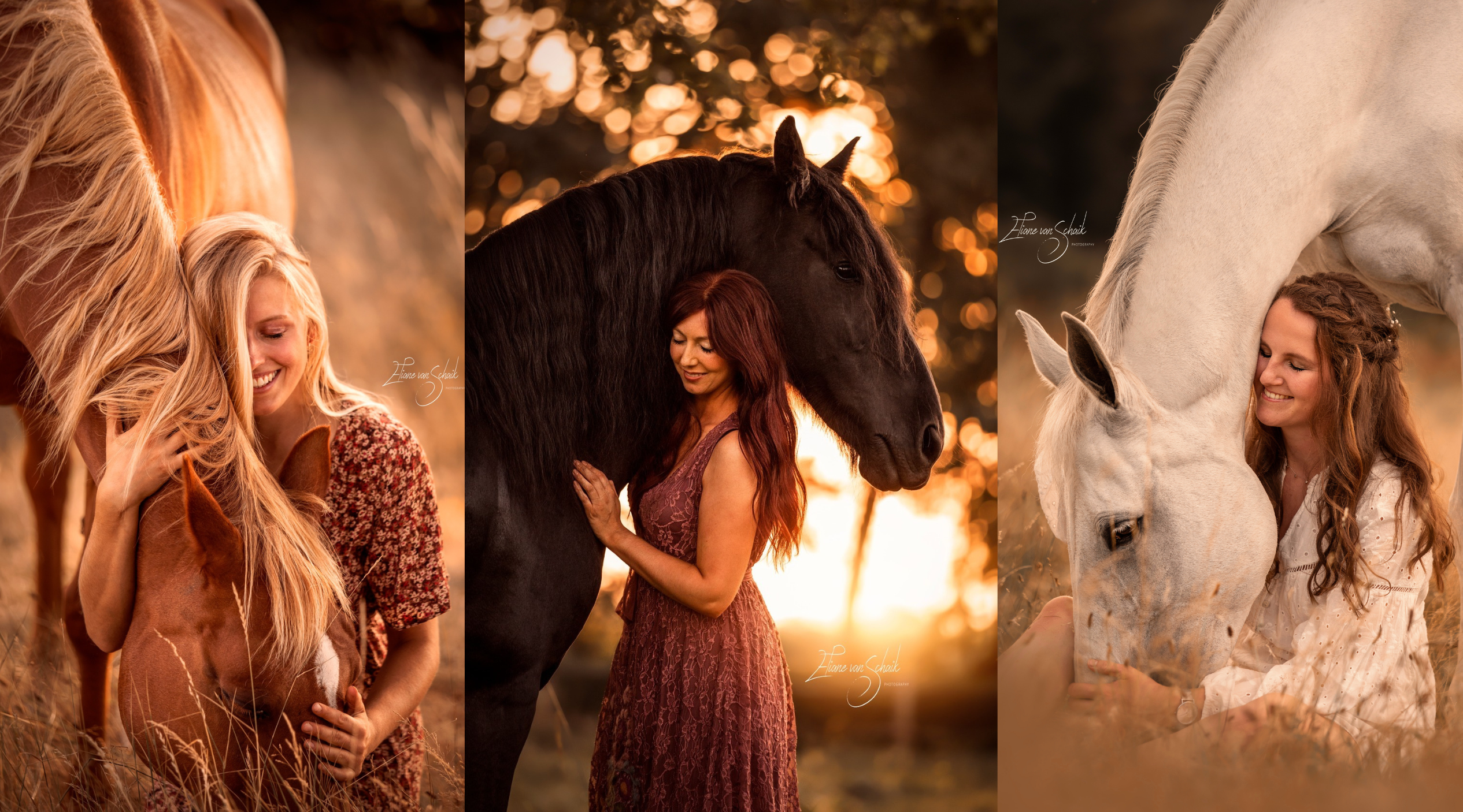 PaardenFotografen NL - Eliane van Schaik