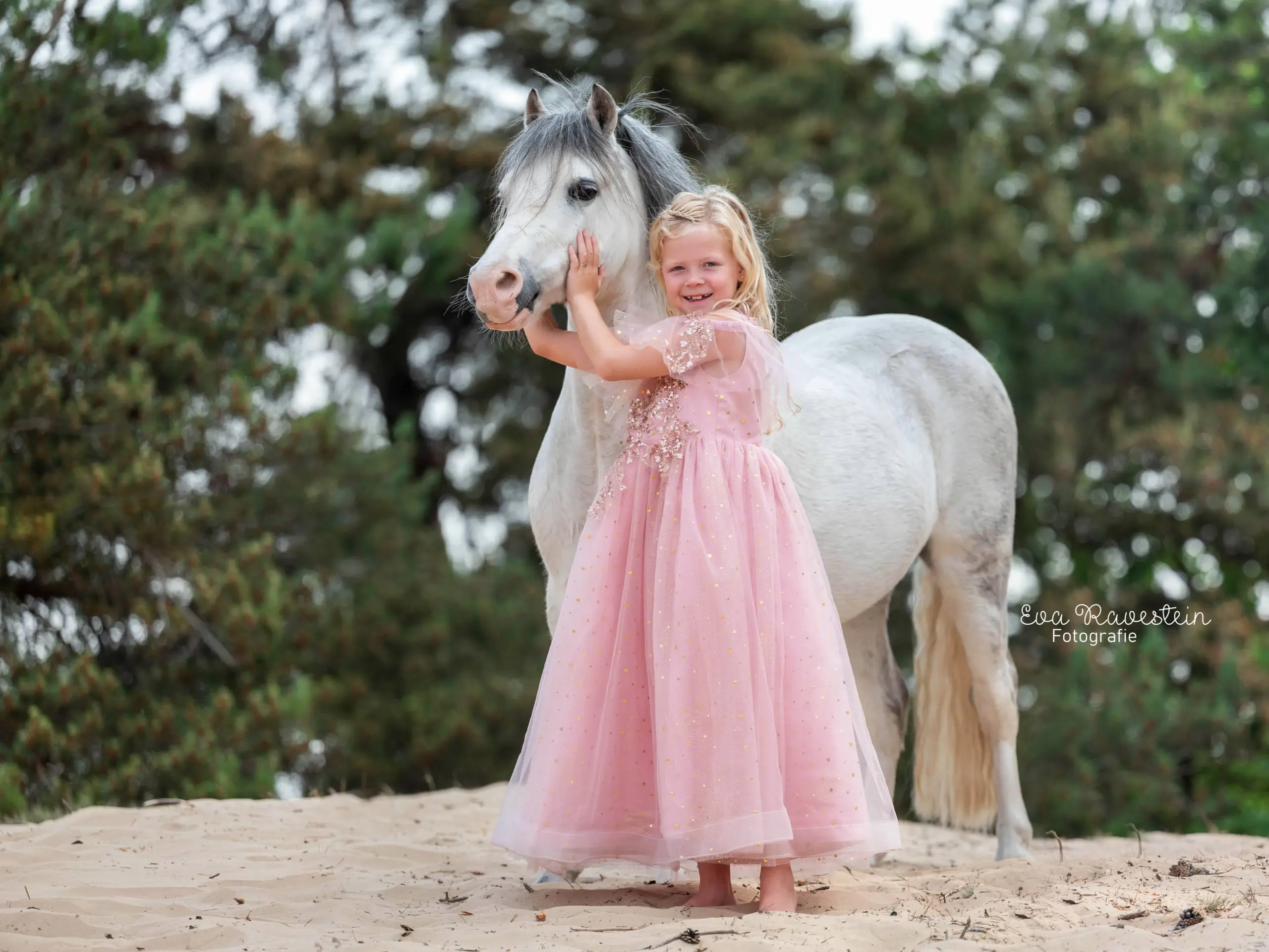 PaardenFotografen NL - Eva Ravestein Fotografie