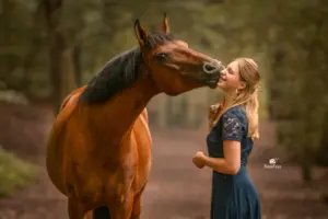 PaardenFotografen NL - Hocus Focus