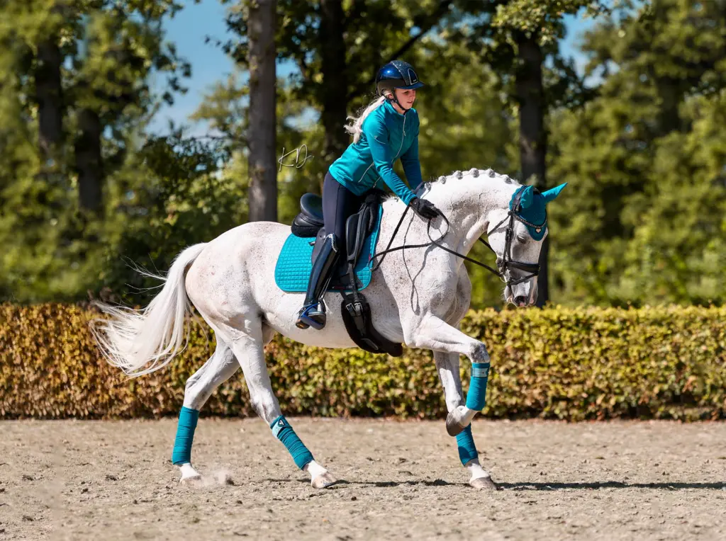 PaardenFotografen NL - KDFotografie