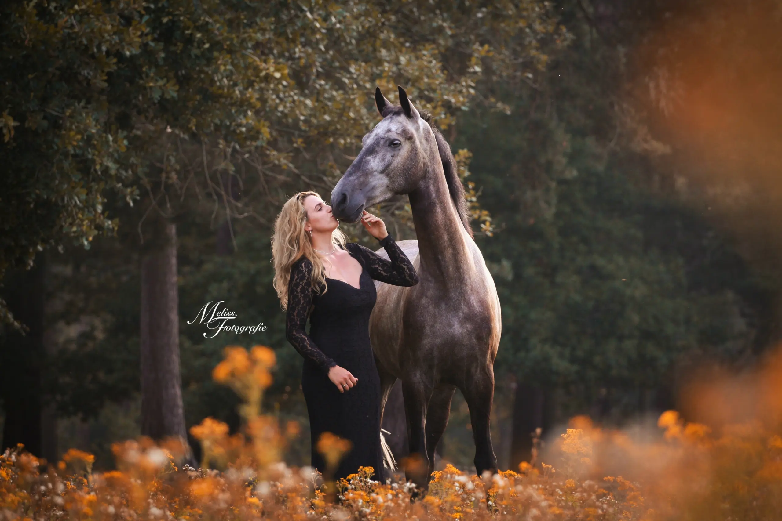 PaardenFotografen NL - Meliss.Fotografie