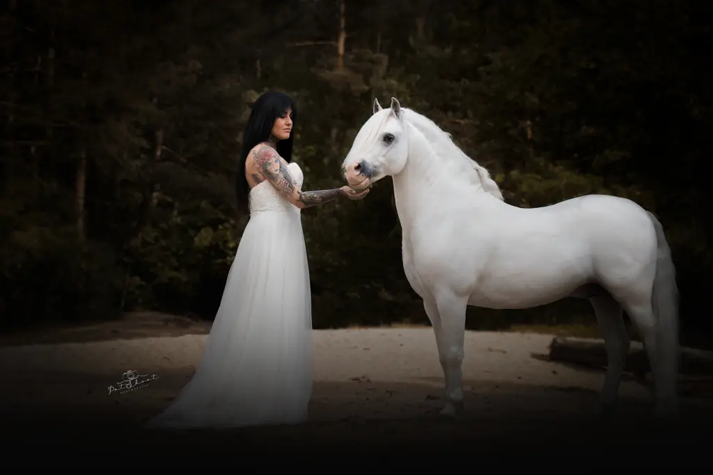 PaardenFotografen NL - Patshoot Photography