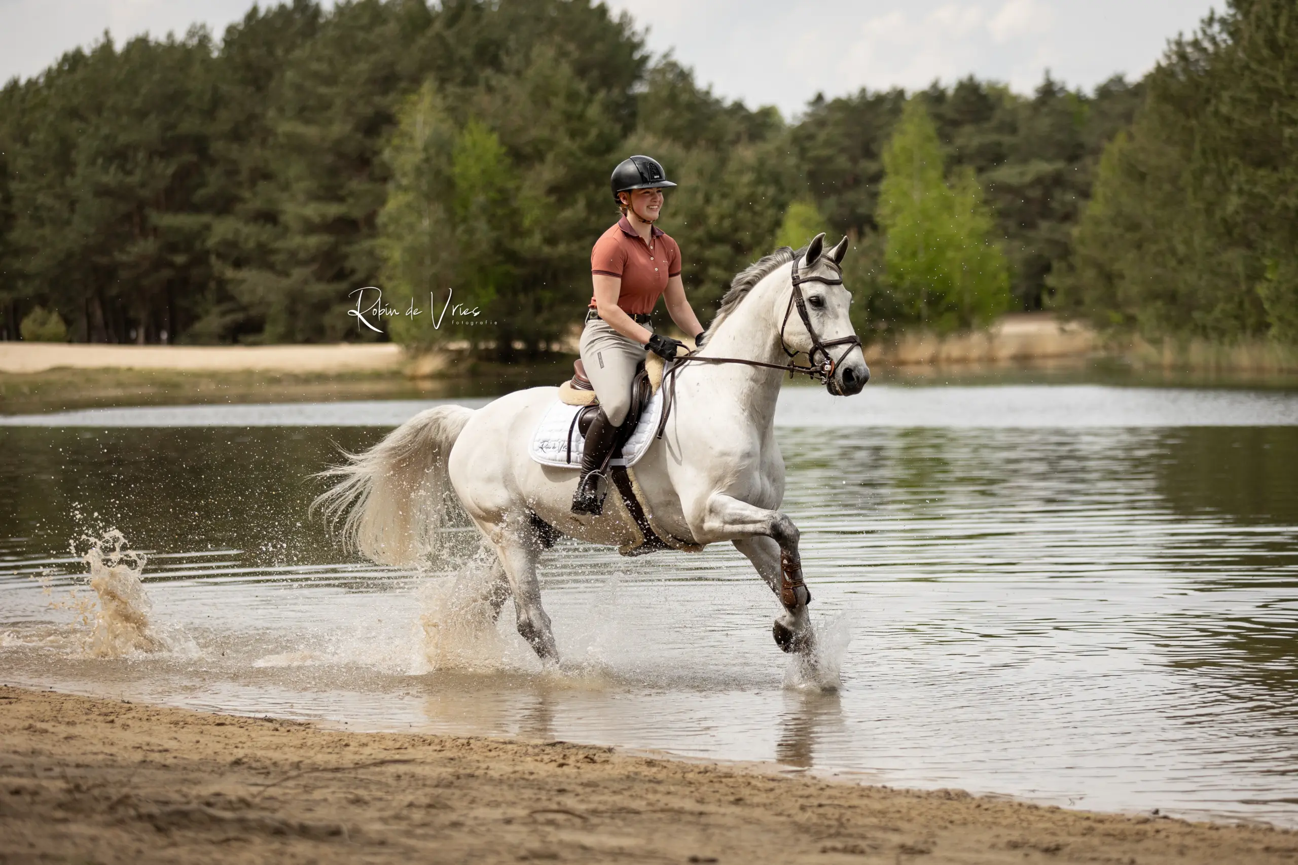 PaardenFotografen NL - Robin de Vries Fotografie