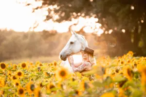 PaardenFotografen NL - Sanna Fotografie