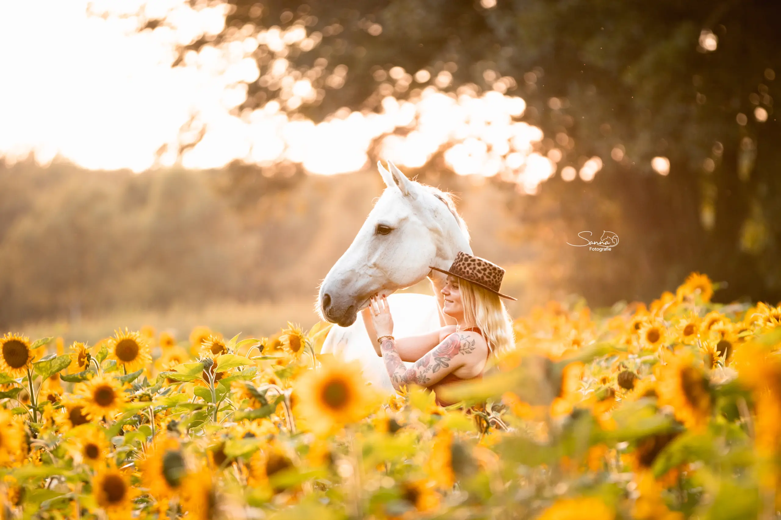 PaardenFotografen NL - Sanna Fotografie