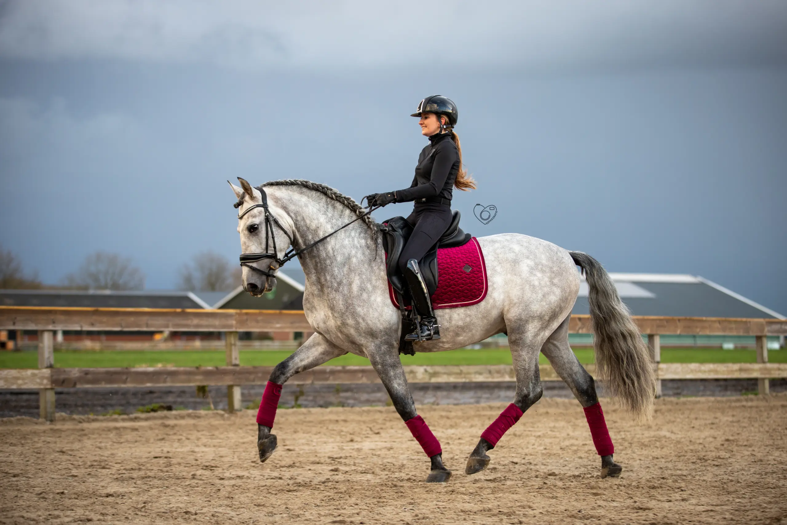 PaardenFotografen NL - Sophiegrafie