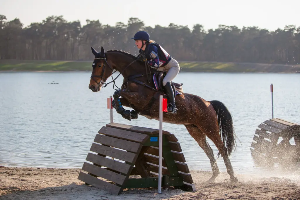 PaardenFotografen NL - TVG Fotografie