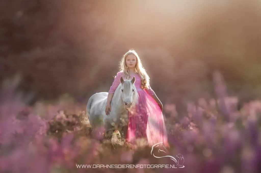 PaardenFotografen NL - DaphnesDierenFotografie