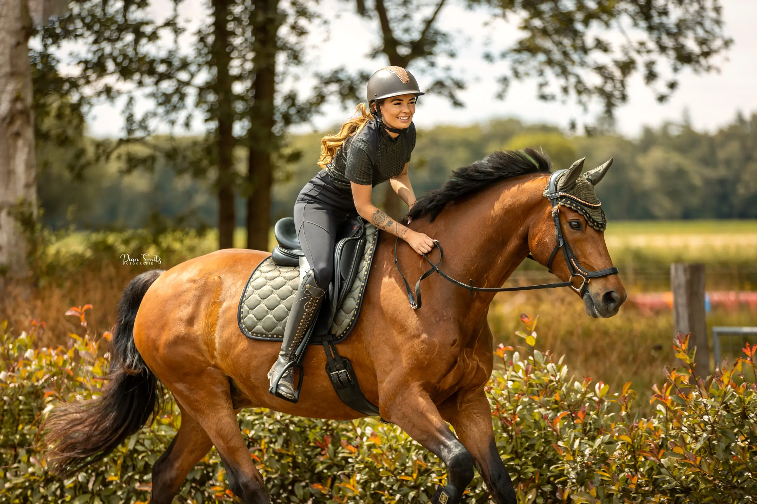 PaardenFotografen NL - Dian Smits Fotografie