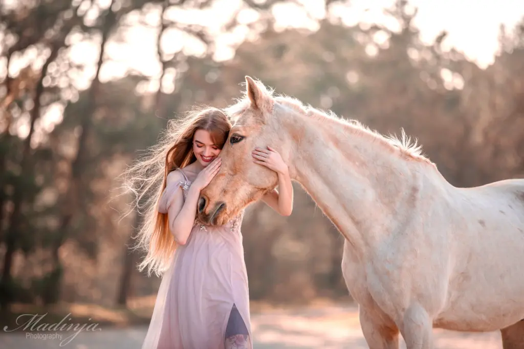 PaardenFotografen NL - Madinja Photography