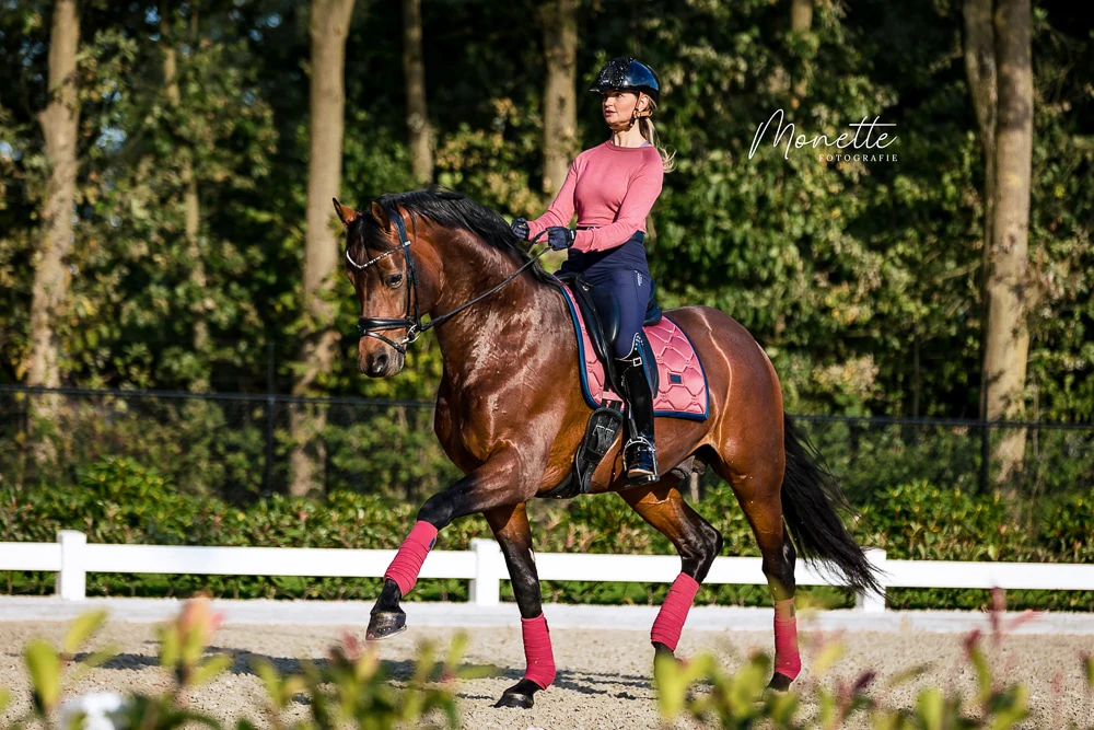 PaardenFotografen NL - Monette Fotografie