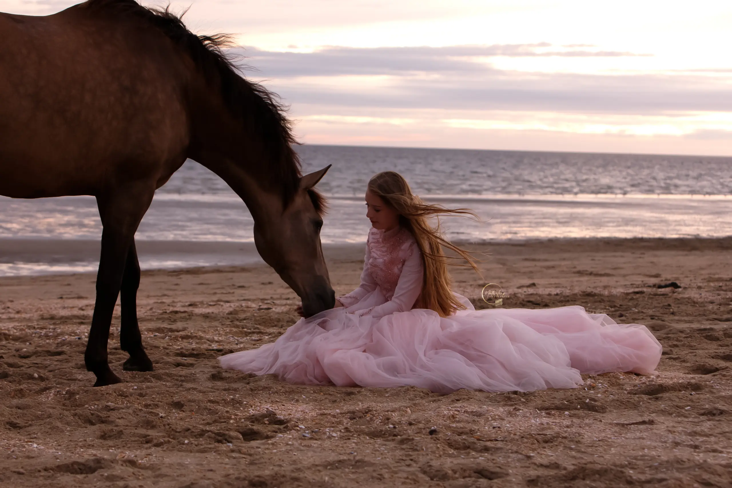 PaardenFotografen NL - Nathalies fotografie