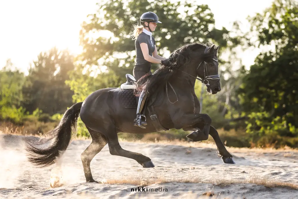 PaardenFotografen NL - Nikki Media