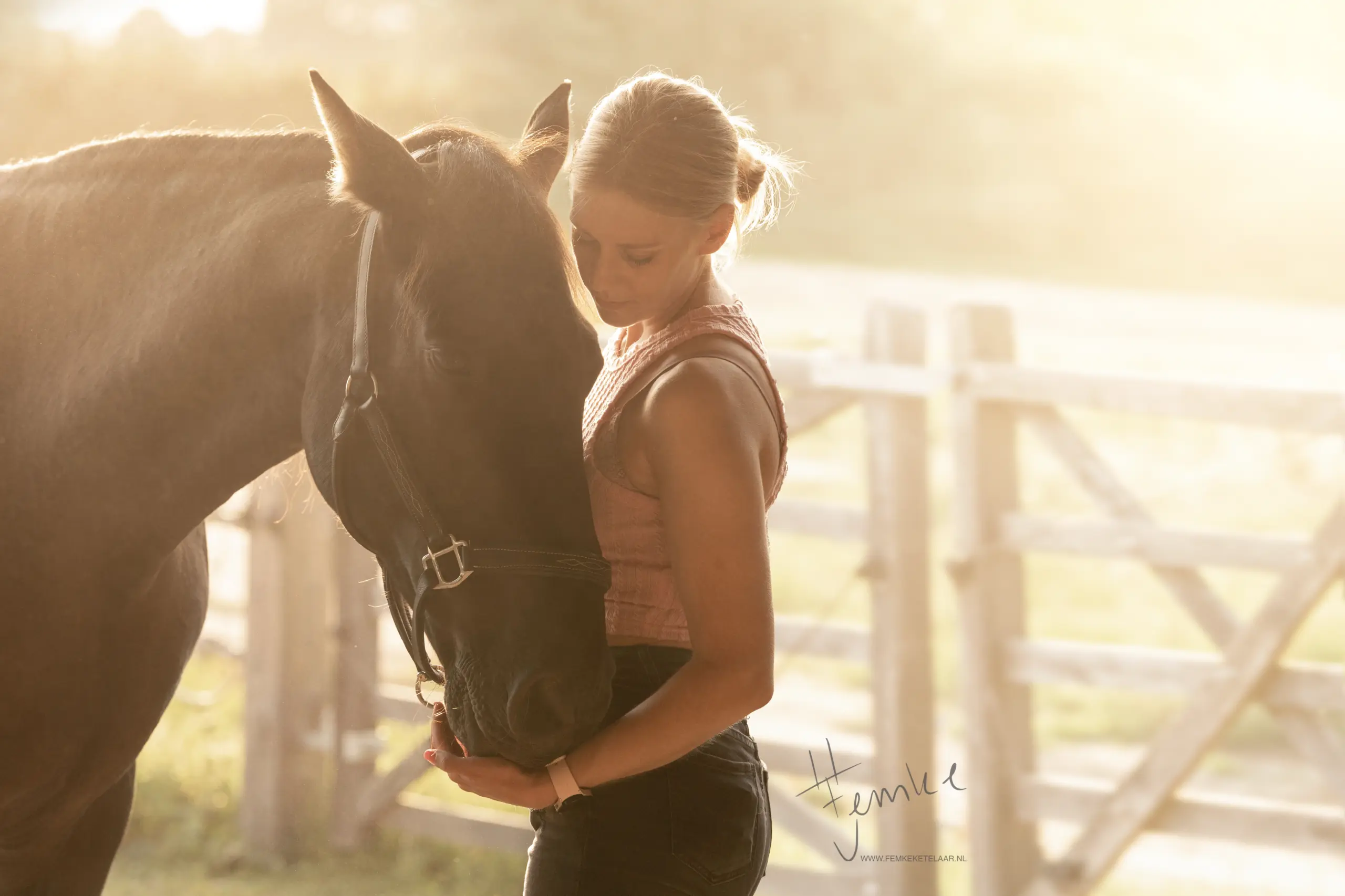 PaardenFotografen NL - PIC by Femke