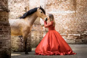 PaardenFotografen NL - Shirley van Lieshout Fotografie