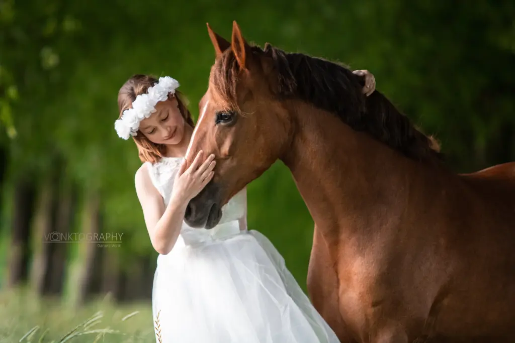 PaardenFotografen NL - Vonktography