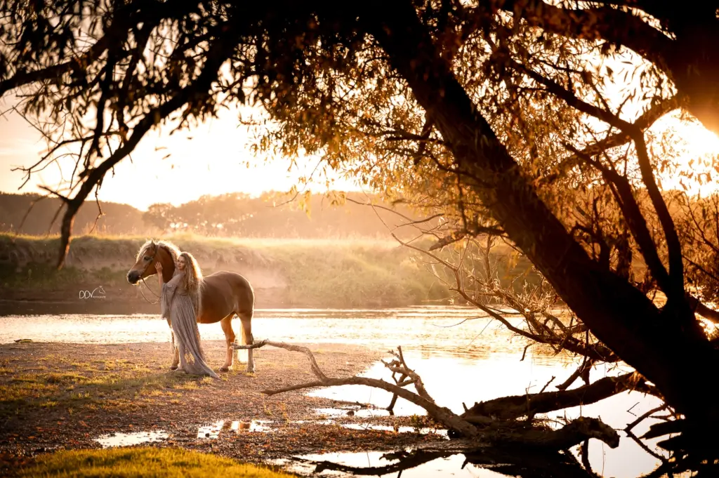 PaardenFotografen NL - DDVFotografie