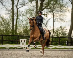 PaardenFotografen NL - Amber Kleian Fotografie