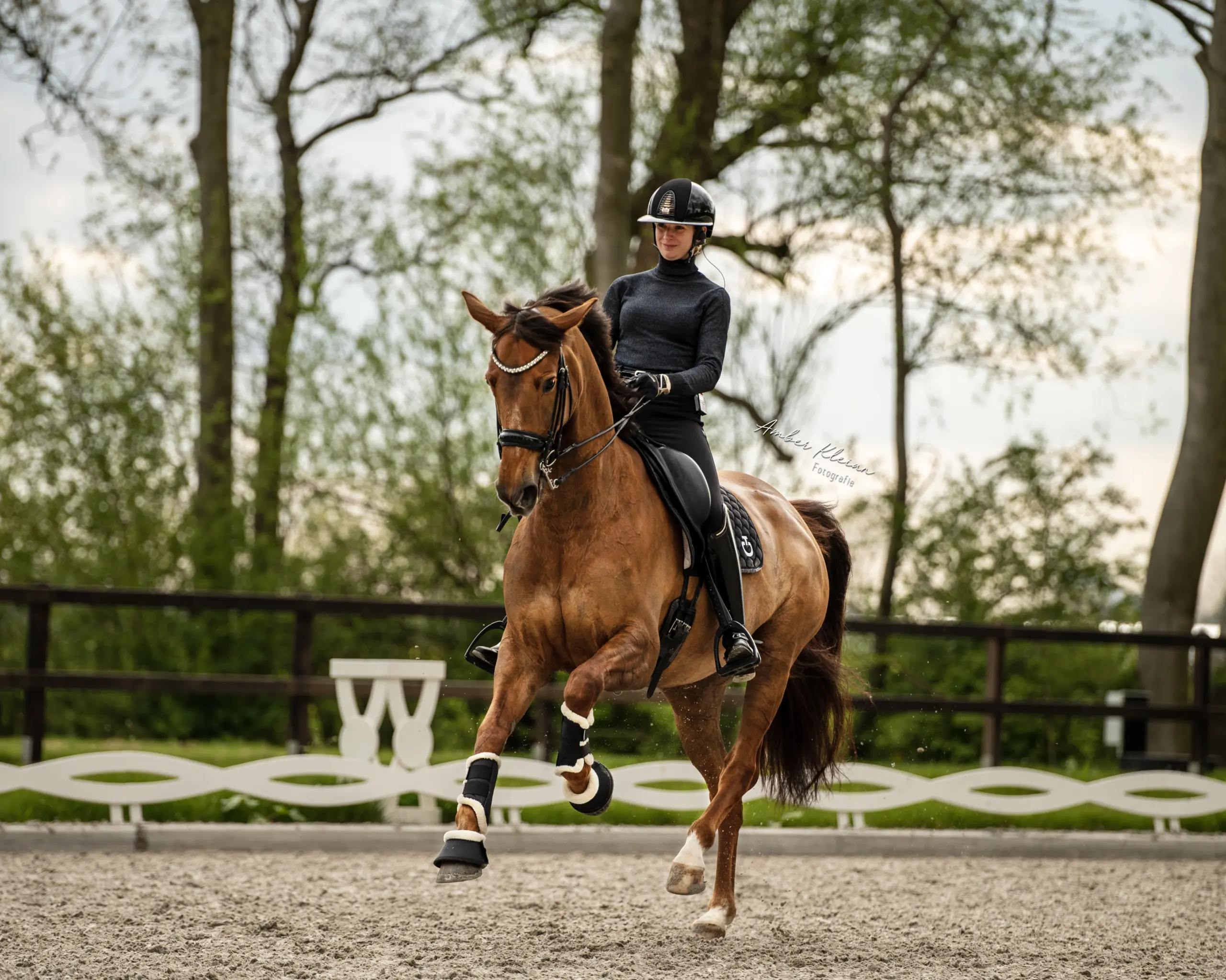 PaardenFotografen NL - Amber Kleian Fotografie