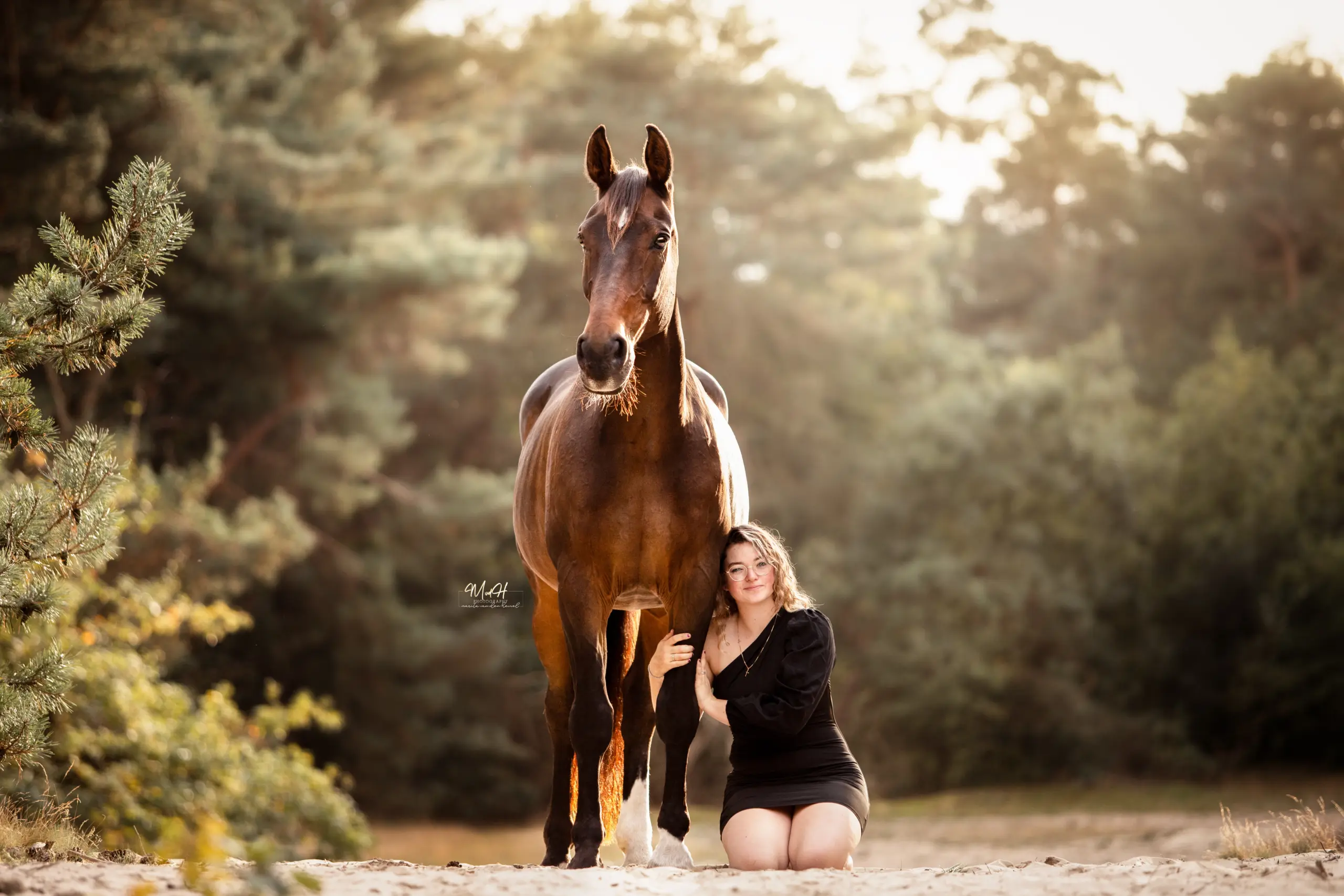 PaardenFotografen NL - MvdH photography