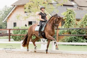 PaardenFotografen NL - Stephanie Mullaart Fotografie