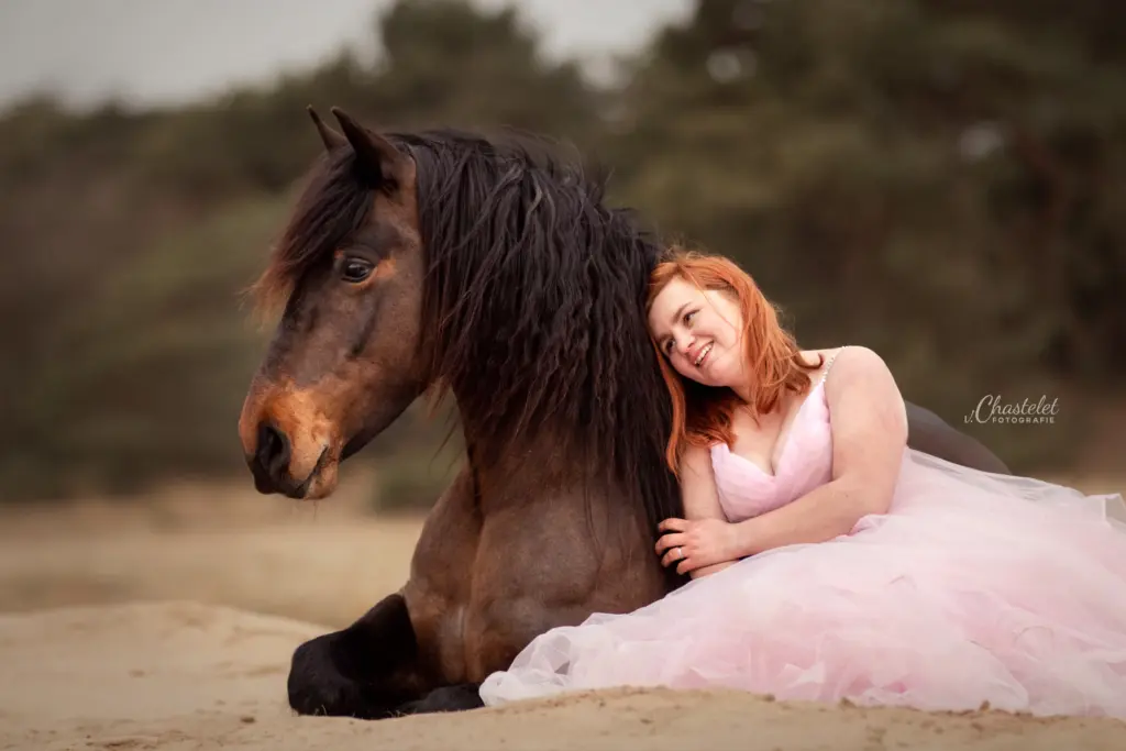 PaardenFotografen NL - van Chastelet Fotografie