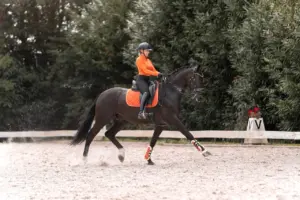 PaardenFotografen NL - Kaylee van Delft Fotografie