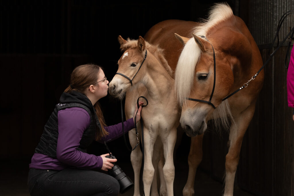 PaardenFotografen NL - Femke Rowel Fotografie