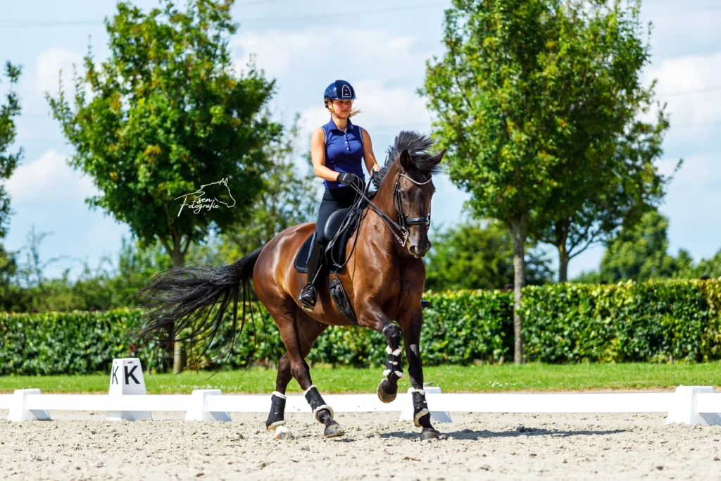 PaardenFotografen NL - Sen Fotografie