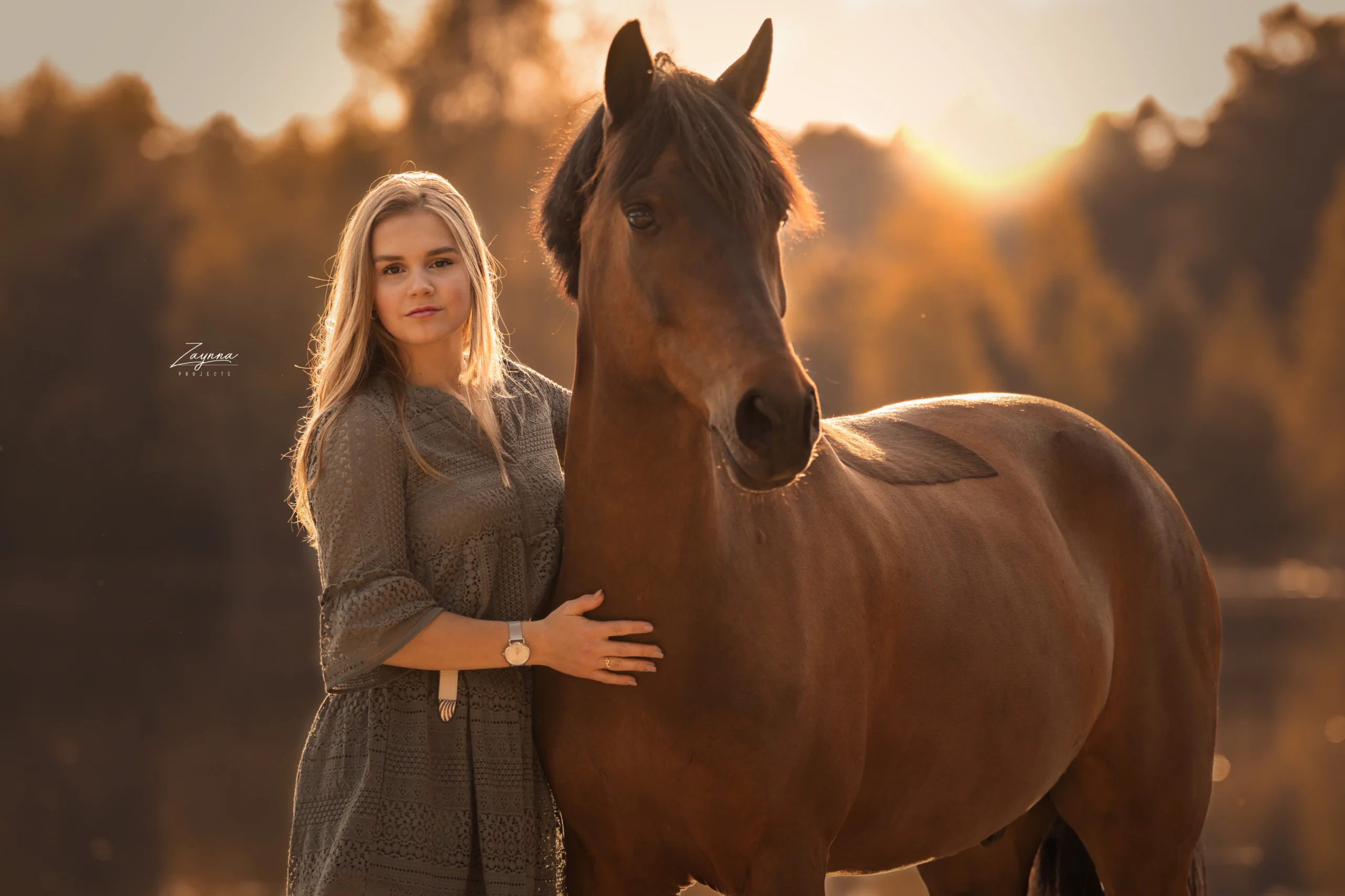 PaardenFotografen NL - Zaynna Projects