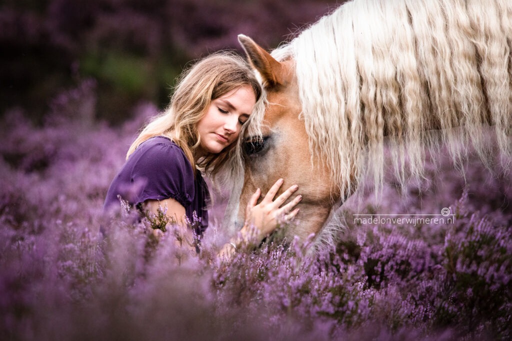 PaardenFotografen NL - Madelon Verwijmeren Fotografie