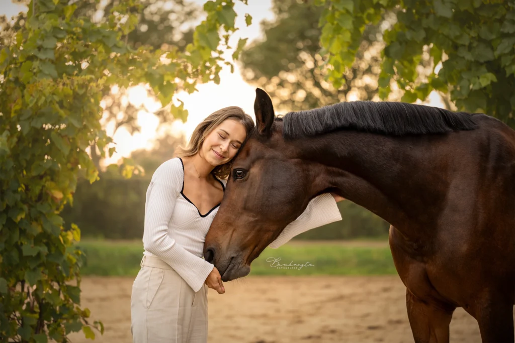 PaardenFotografen NL - Bembregts Fotografie 2