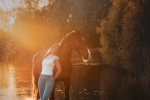 PaardenFotografen NL - Karin Gerdes Fotografie