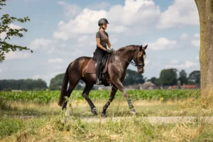 PaardenFotografen NL - Robin de Vries Fotografie