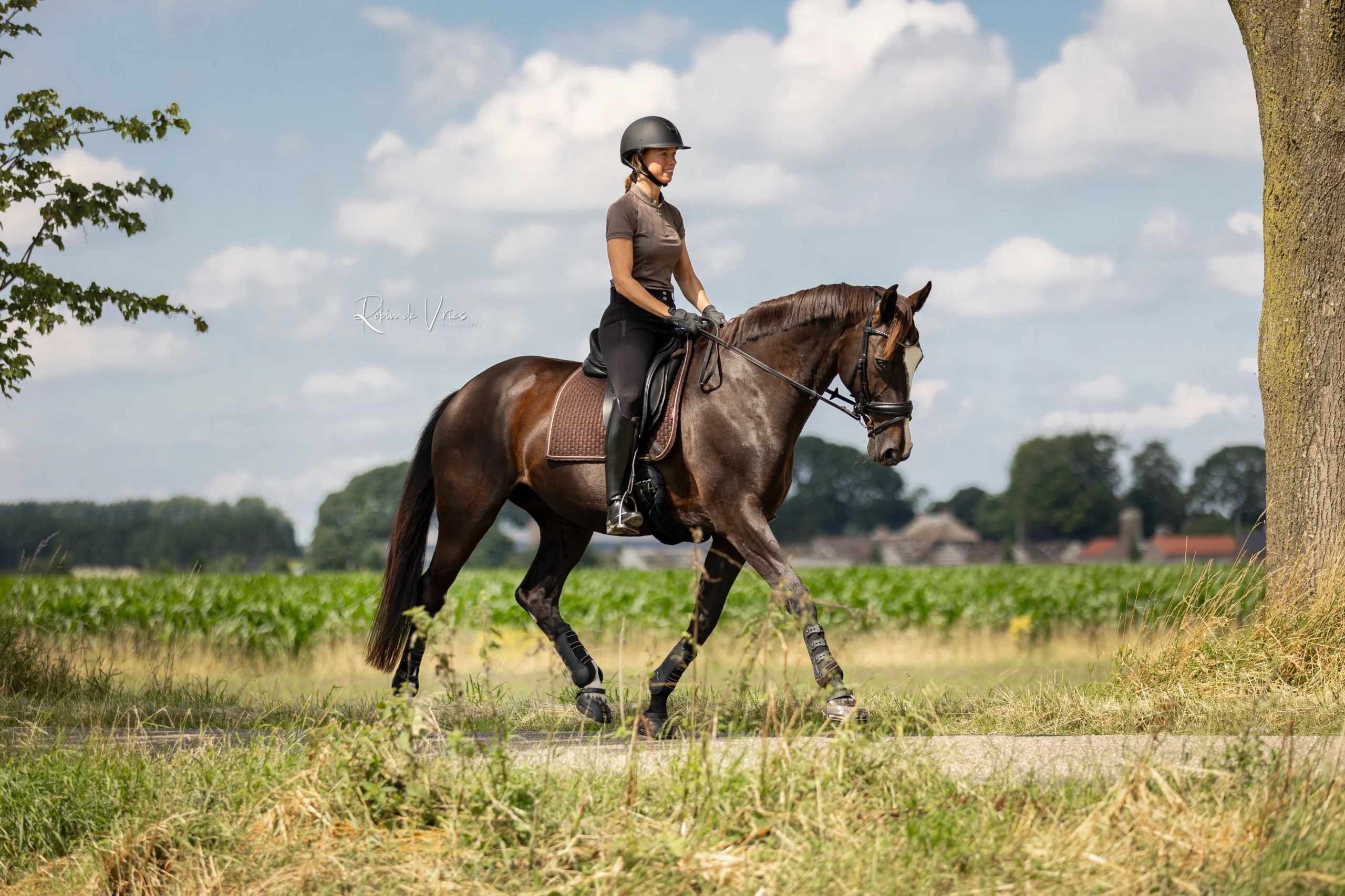PaardenFotografen NL - Robin de Vries Fotografie