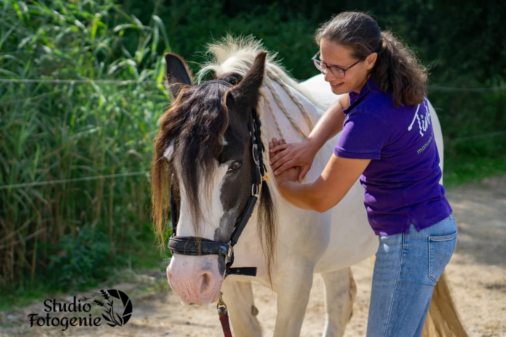 PaardenFotografen NL - Studio Fotogenie