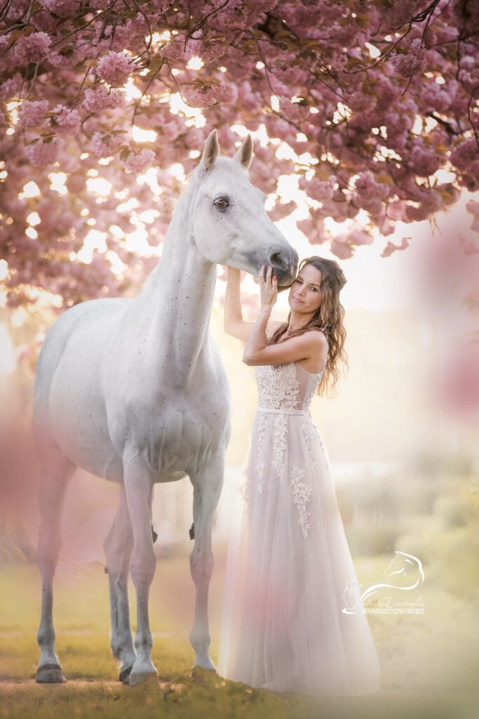 mijndierenfotograaf bloesem mini - PaardenFotografen NL