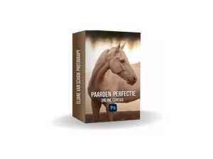 Eliane van Schaik - Paarden perfectie - Online Photoshop cursus - PaardenFotografen NL