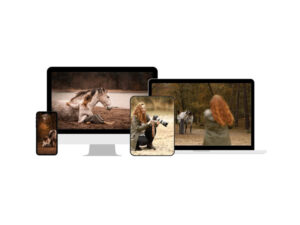 Eliane van Schaik - Romantische Paardenfotografie - Workflow - PaardenFotografen NL