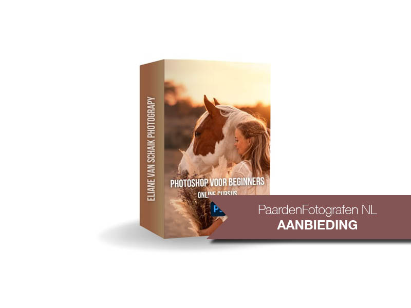 Eliane van Schaik - Starten met fotobewerking - Online Photoshop cursus - PaardenFotografen NL